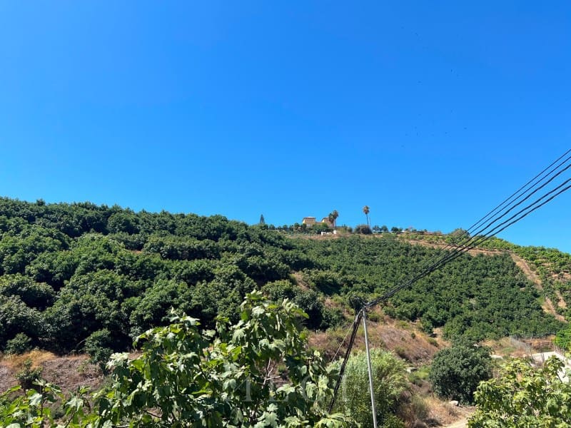 2 camera da letto Finca/Casa di Campagna in vendita in Benamocarra con piscina - 466.500 € (Rif: 10008860)