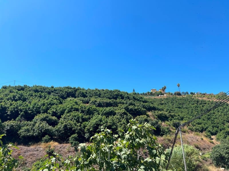 2 camera da letto Finca/Casa di Campagna in vendita in Benamocarra con piscina - 466.500 € (Rif: 10008860)