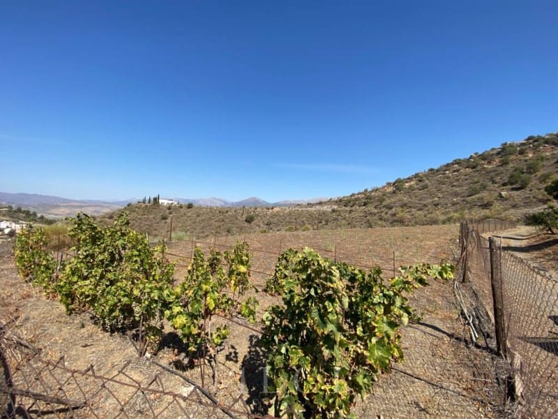 Finca/Landhuis te koop in Canillas de Aceituno - € 129.900 (Ref: 10011195)