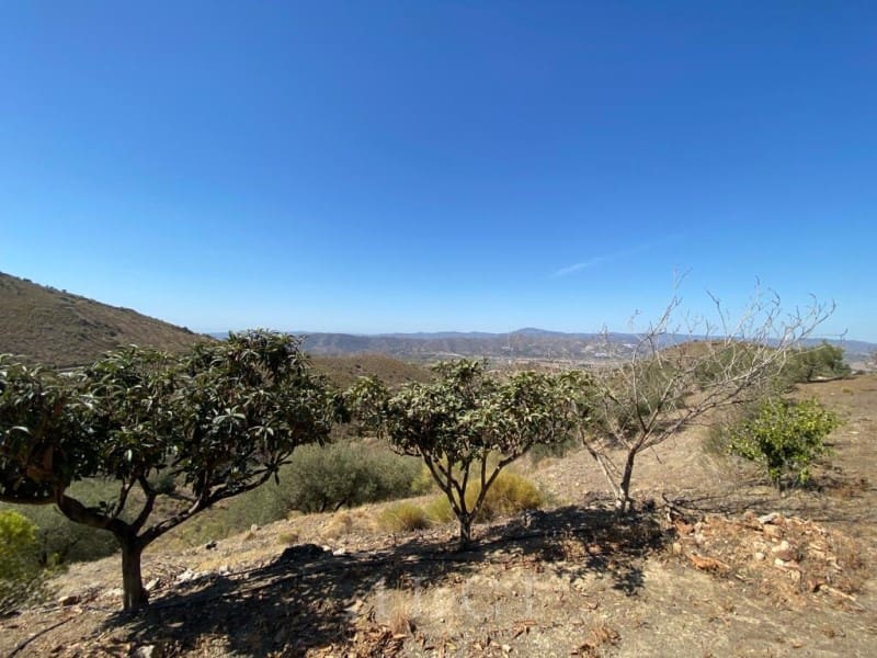 Finca/Landhuis te koop in Canillas de Aceituno - € 129.900 (Ref: 10011195)