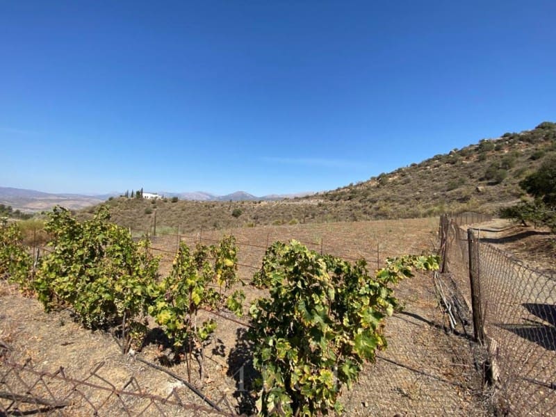 Finca/Landhuis te koop in Canillas de Aceituno - € 129.900 (Ref: 10011195)