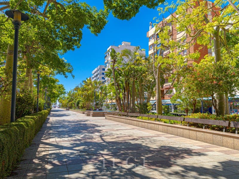 3 sypialnia Mieszkanie na sprzedaż w Torre del Mar - 320 000 € (Ref: 10011196)