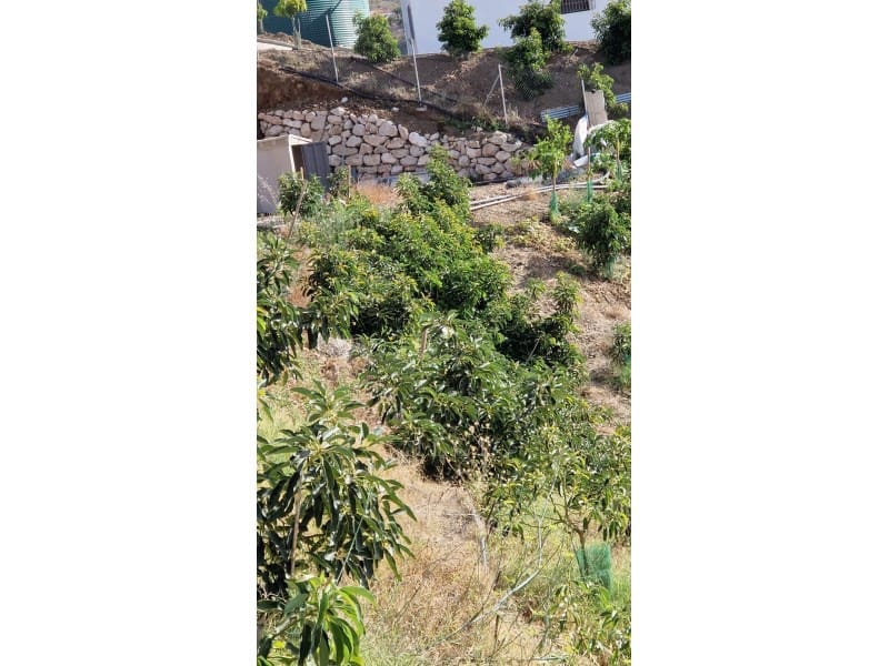 Finca/Country House for sale in Algarrobo - € 125,000 (Ref: 10048957)