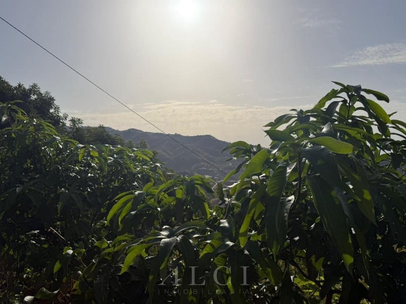Finca/Country House for sale in Algarrobo - € 125,000 (Ref: 10048957)