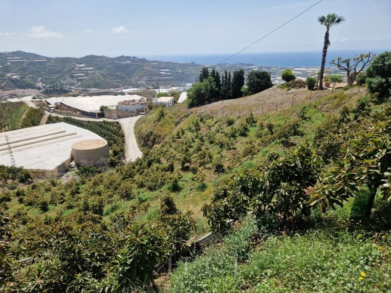 Finca/Country House for sale in Algarrobo - € 125,000 (Ref: 10048957)