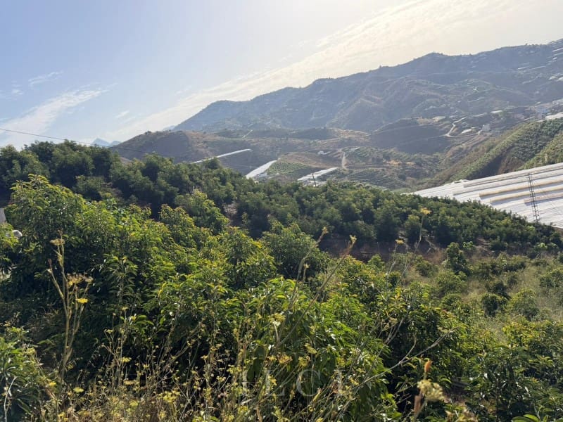 Finca/Country House for sale in Algarrobo - € 125,000 (Ref: 10048957)
