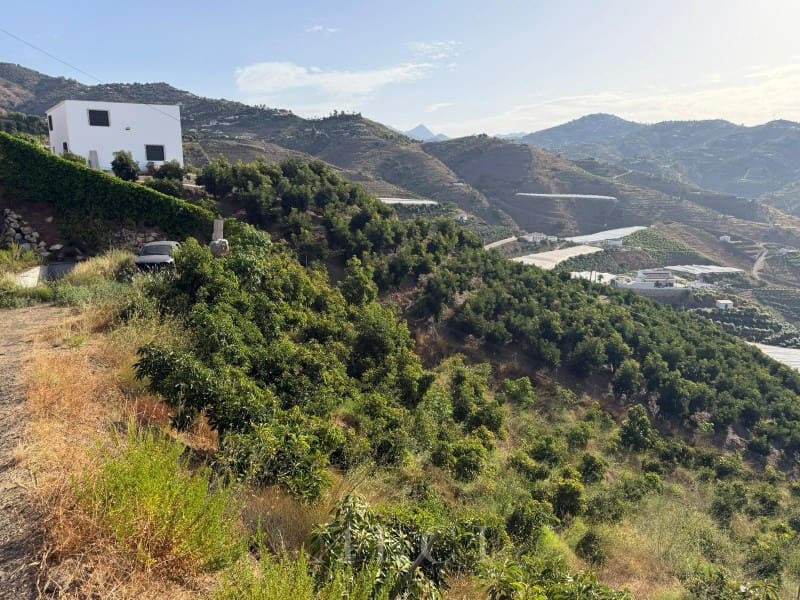 Finca/Country House for sale in Algarrobo - € 125,000 (Ref: 10048957)