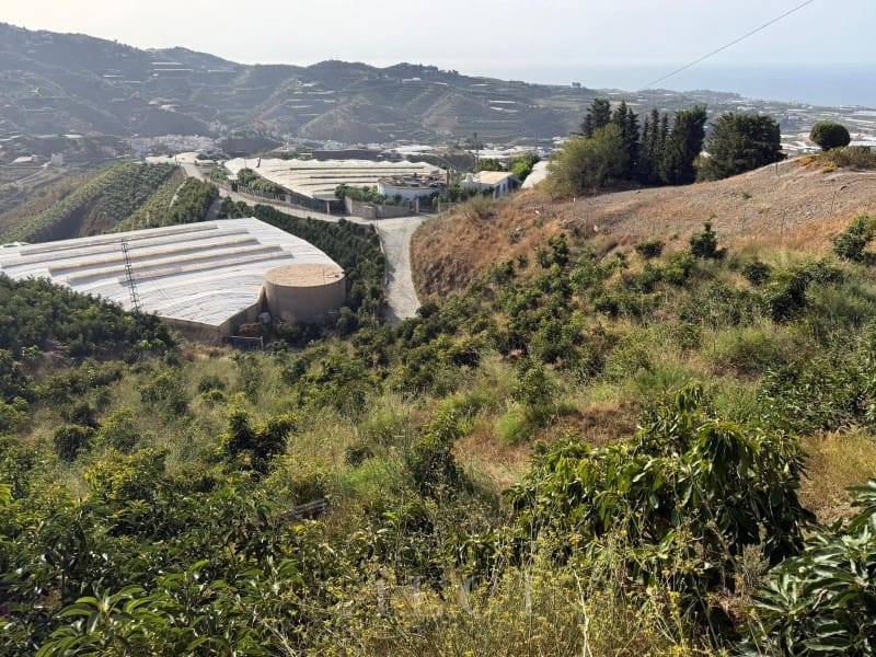 Finca/Country House for sale in Algarrobo - € 125,000 (Ref: 10048957)