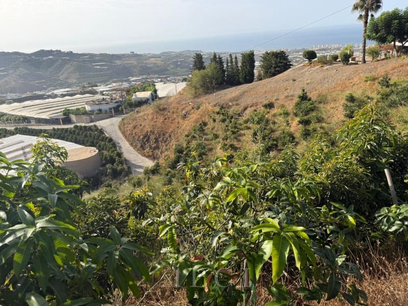 Finca/Country House for sale in Algarrobo - € 125,000 (Ref: 10048957)