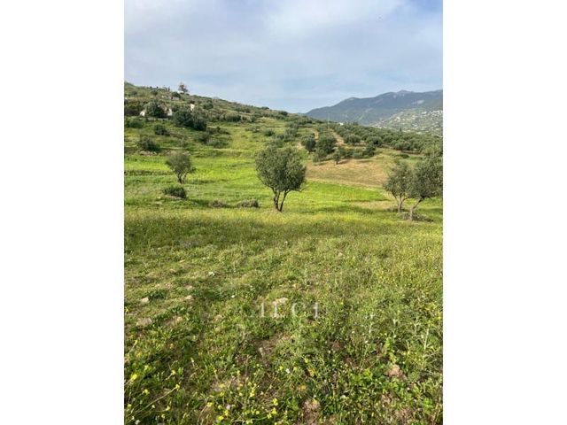 Tomt till salu i Alcaucín - 39 000 € (Ref: 9311261)