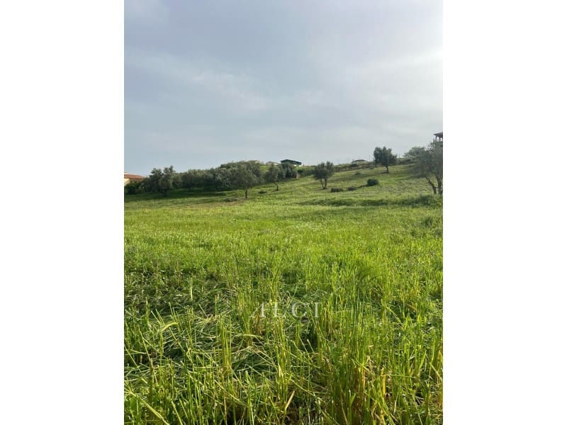 Bouwgrond te koop in Alcaucin - € 39.000 (Ref: 9311261)