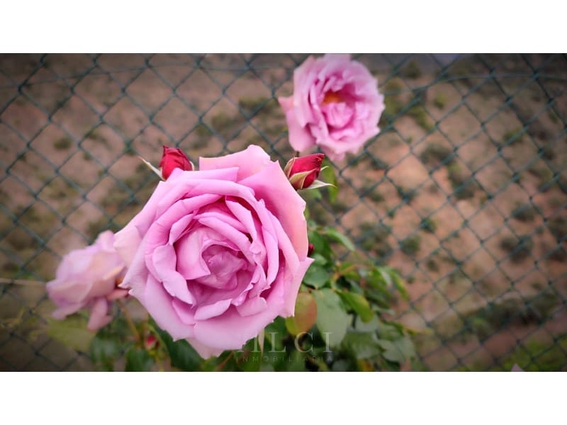 3 bedroom Villa for rent in Malaga city with pool garage - € 1,990 (Ref: 9347730)