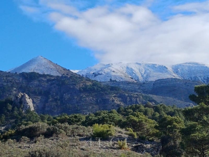 2 sovrum Villa till salu i Alcaucin med pool garage - 285 000 € (Ref: 9759482)