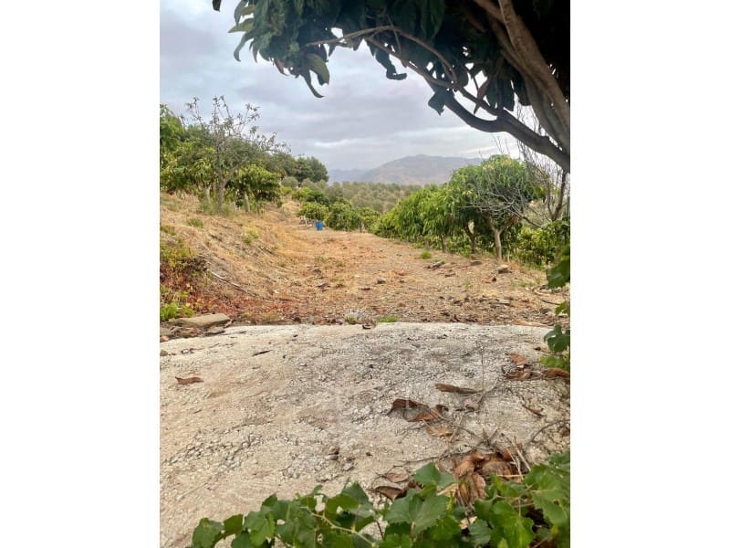 2 sypialnia Willa na sprzedaż w Velez-Malaga z basenem - 420 000 € (Ref: 9761892)