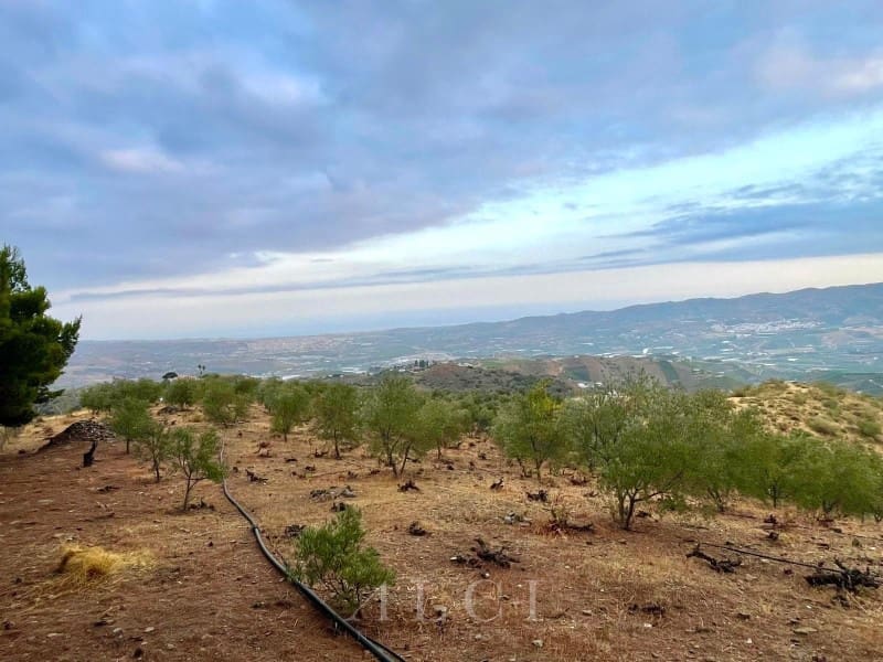 2 sypialnia Willa na sprzedaż w Velez-Malaga z basenem - 420 000 € (Ref: 9761892)