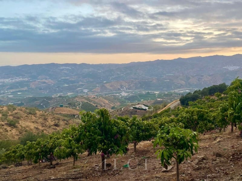 2 sypialnia Willa na sprzedaż w Velez-Malaga z basenem - 420 000 € (Ref: 9761892)