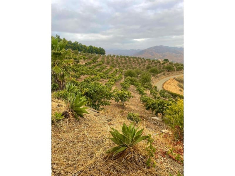 2 sypialnia Willa na sprzedaż w Velez-Malaga z basenem - 420 000 € (Ref: 9761892)