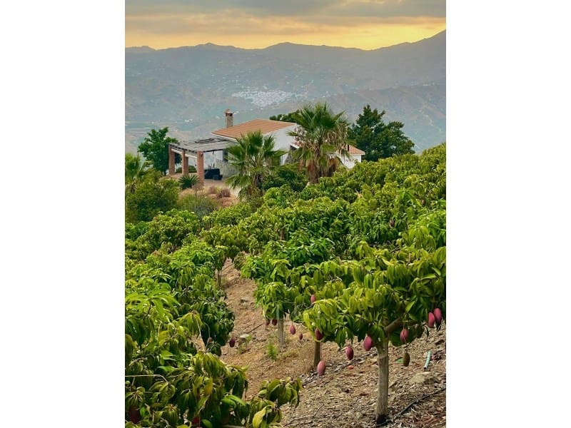 2 sypialnia Willa na sprzedaż w Velez-Malaga z basenem - 420 000 € (Ref: 9761892)