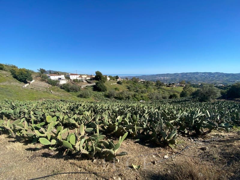 Grunde uden byggetilladelser til salg i Velez-Malaga - € 135.000 (Ref: 9806387)