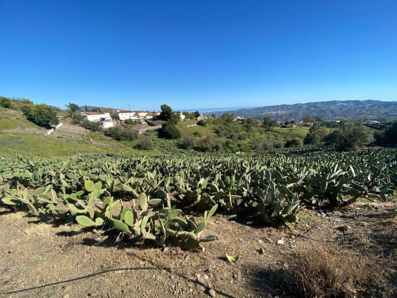 Grunde uden byggetilladelser til salg i Velez-Malaga - € 135.000 (Ref: 9806387)