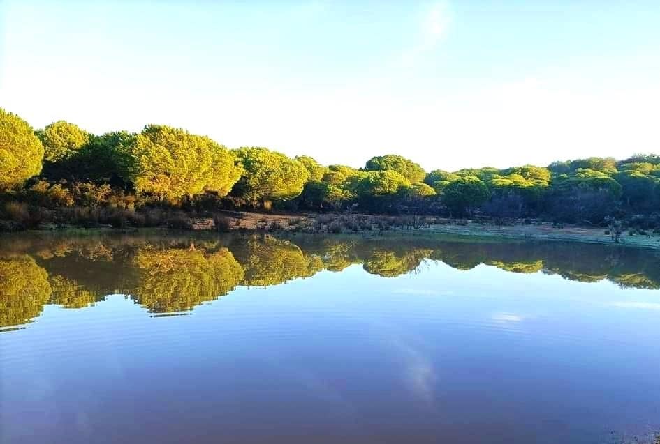 Casa de 6 habitaciones en El Portil en venta con piscina - 324.900 € (Ref: 9456609)