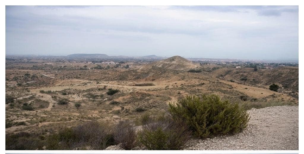 Undeveloped Land for sale in San Vicente / Sant Vicent del Raspeig - € 193,501 (Ref: 10116223)
