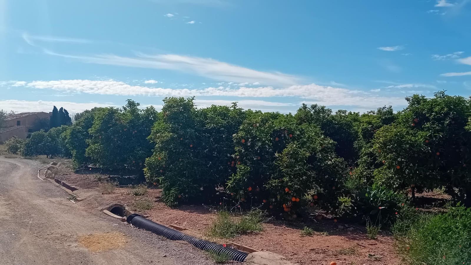 Undeveloped Land for sale in San Vicente / Sant Vicent del Raspeig - € 193,501 (Ref: 10116223)