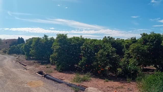 Terreno Não Urbanizado para venda em San Vicente / Sant Vicent del Raspeig - 193 501 € (Ref: 10116223)