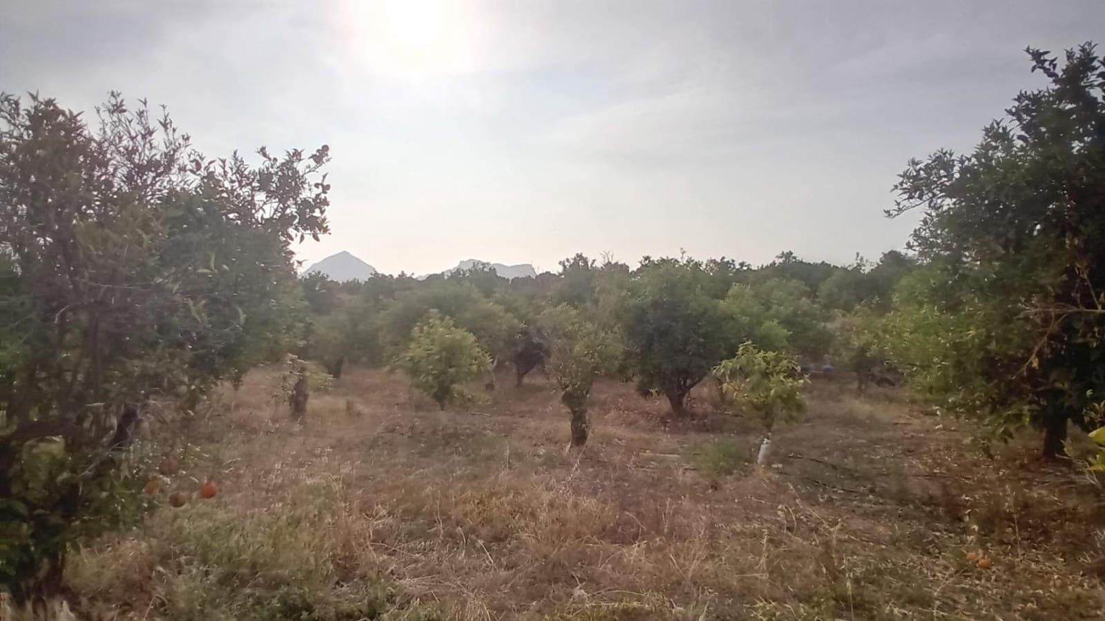 Undeveloped Land for sale in Altea - € 194,000 (Ref: 10116229)