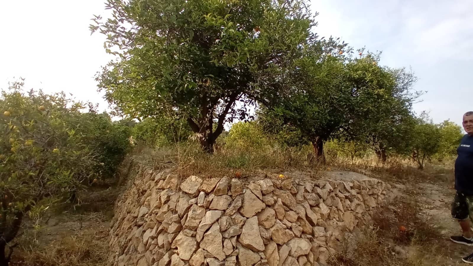 Undeveloped Land for sale in Altea - € 194,000 (Ref: 10116229)