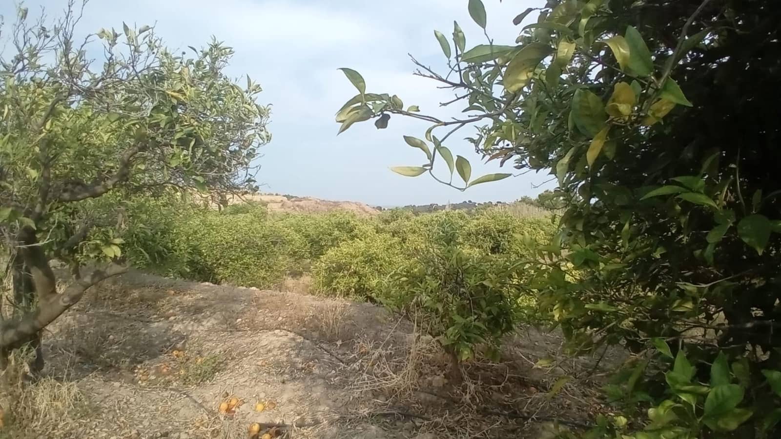 Undeveloped Land for sale in Altea - € 194,000 (Ref: 10116229)