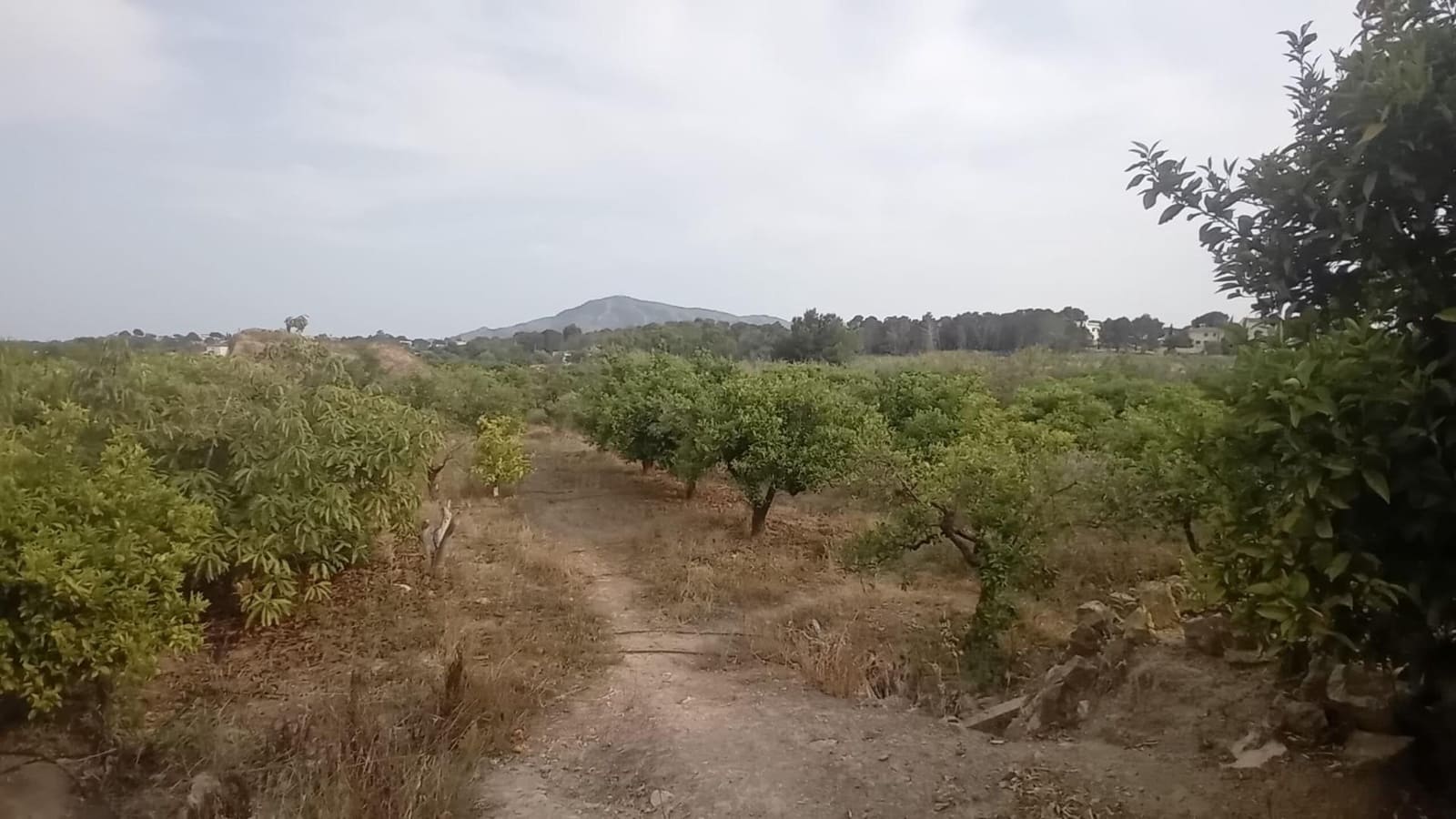 Undeveloped Land for sale in Altea - € 194,000 (Ref: 10116229)