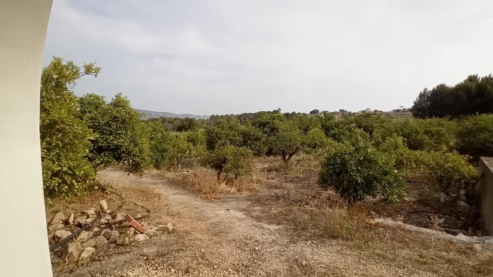 Undeveloped Land for sale in Altea - € 194,000 (Ref: 10116229)