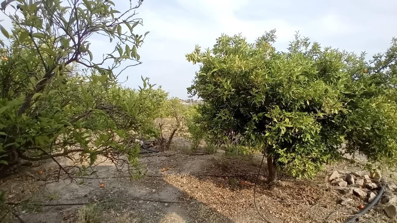 Undeveloped Land for sale in Altea - € 194,000 (Ref: 10116229)