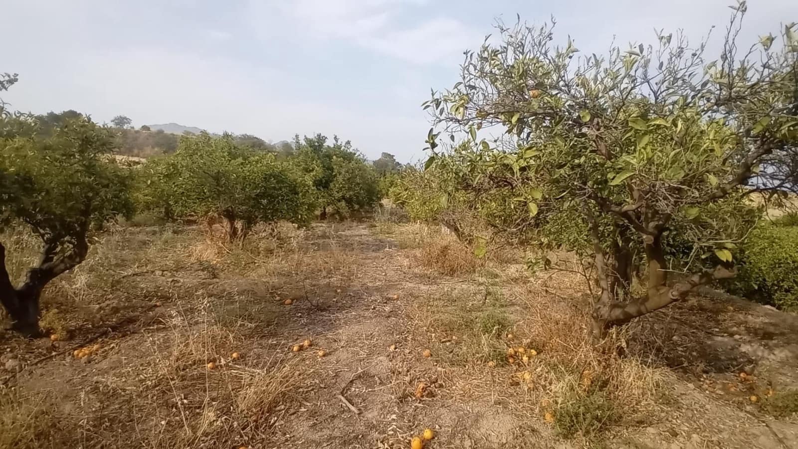 Undeveloped Land for sale in Altea - € 194,000 (Ref: 10116229)