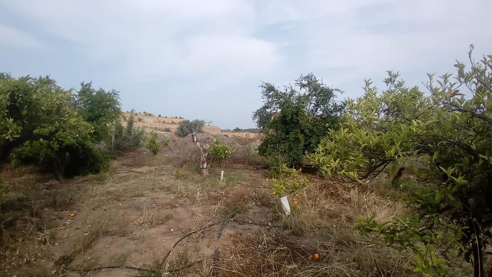Undeveloped Land for sale in Altea - € 194,000 (Ref: 10116229)