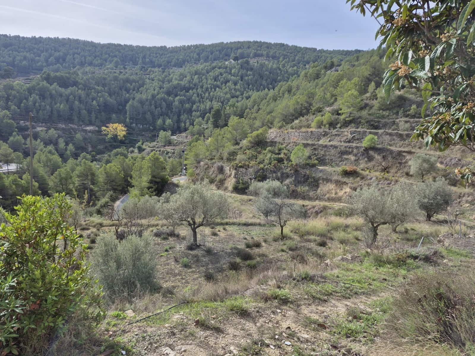 4 bedroom Finca/Country House for sale in Relleu with garage - € 265,000 (Ref: 10116234)
