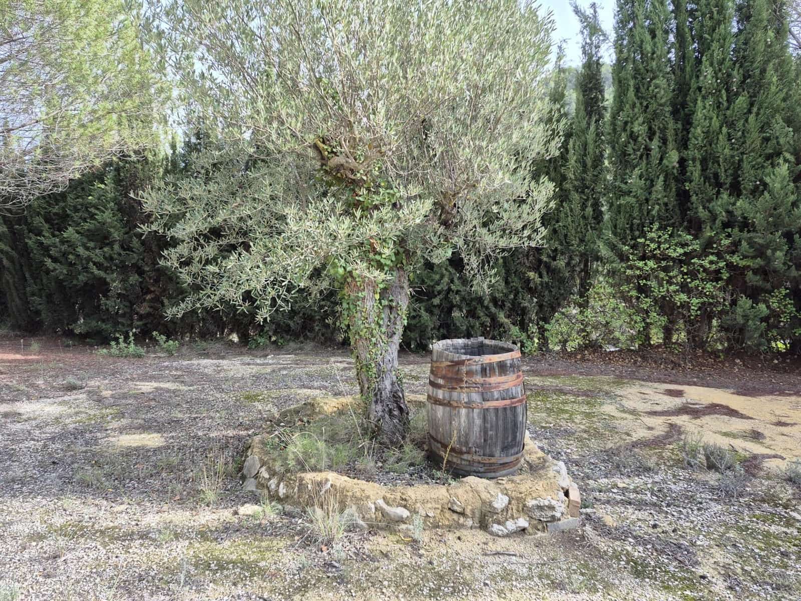4 bedroom Finca/Country House for sale in Relleu with garage - € 265,000 (Ref: 10116234)
