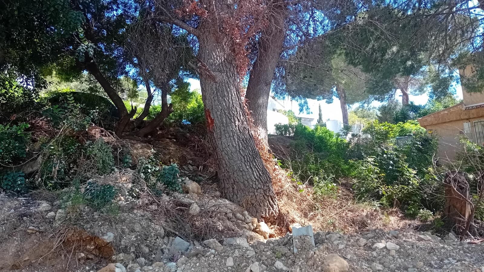 Terreno Non Edificato in vendita in Altea - 135.000 € (Rif: 10135796)