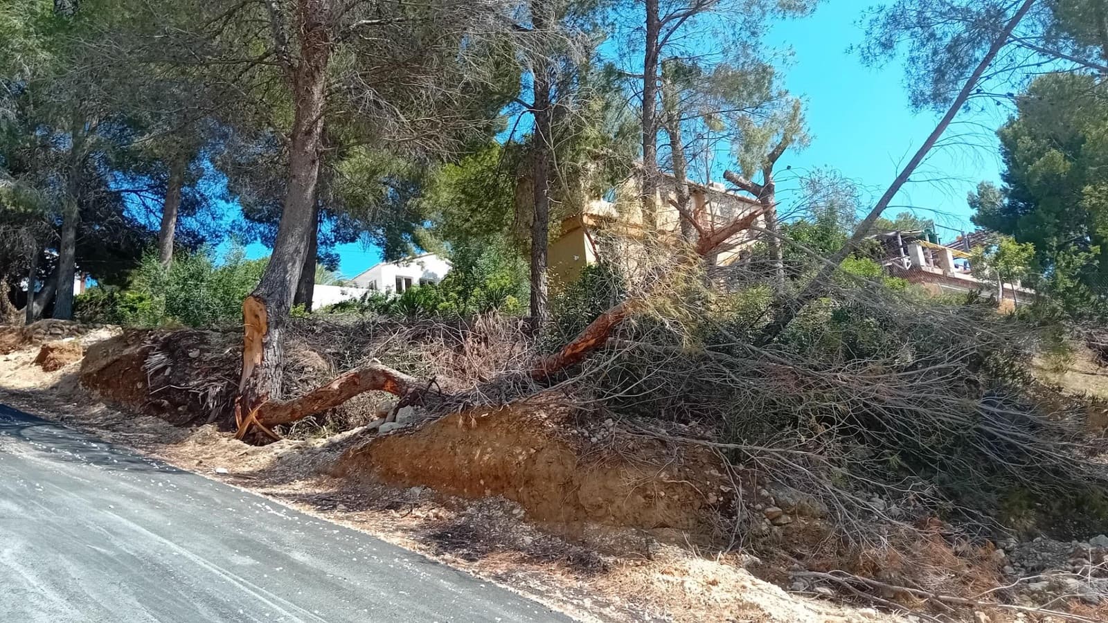 Terreno Non Edificato in vendita in Altea - 135.000 € (Rif: 10135796)