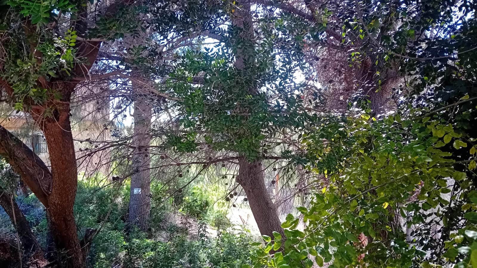 Terreno Non Edificato in vendita in Altea - 135.000 € (Rif: 10135796)