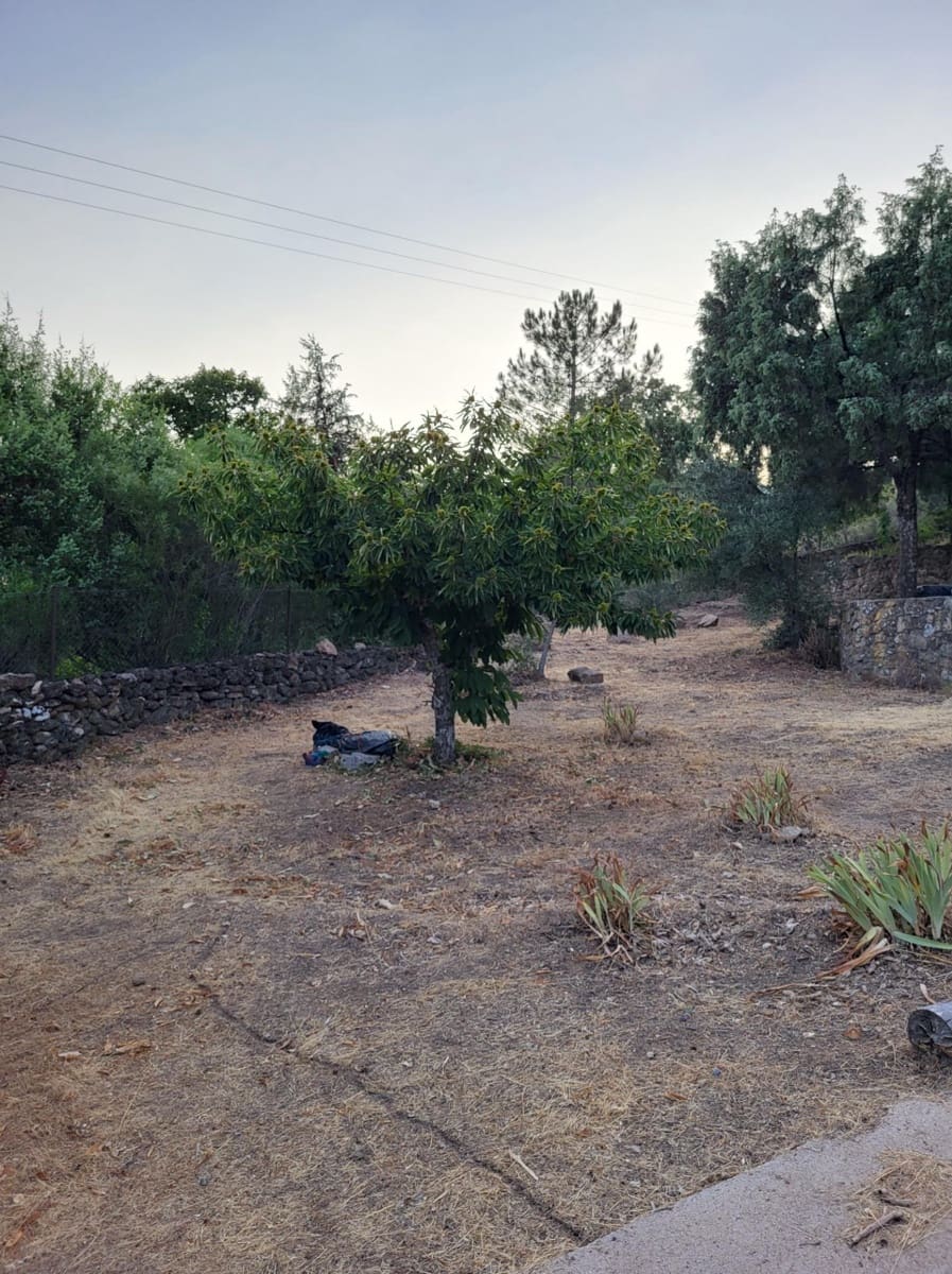 Finca/Casa Rural de 1 habitación en Villanueva de la Vera en venta - 200.000 € (Ref: 8680465)