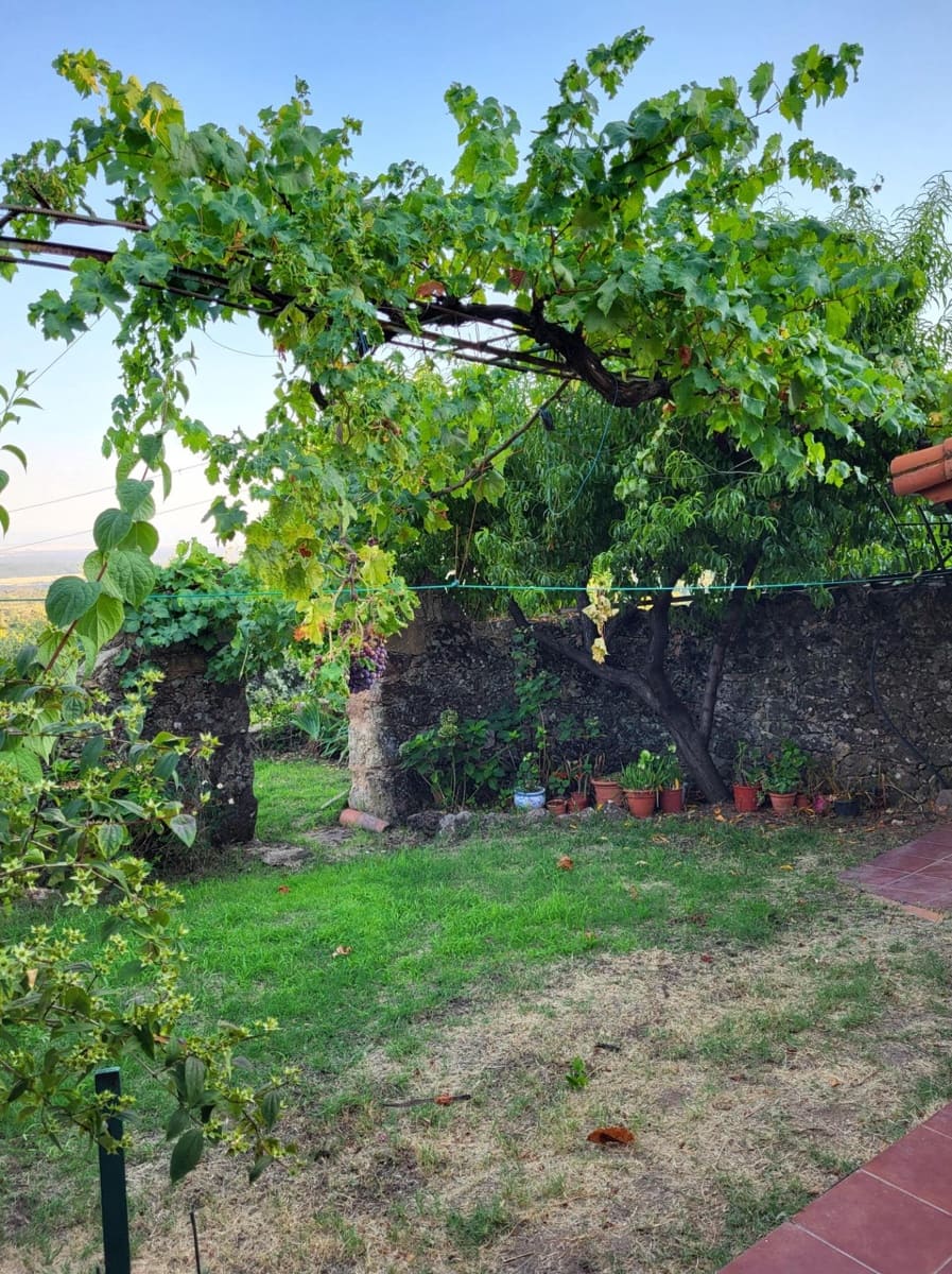 Finca/Casa Rural de 1 habitación en Villanueva de la Vera en venta - 200.000 € (Ref: 8680465)