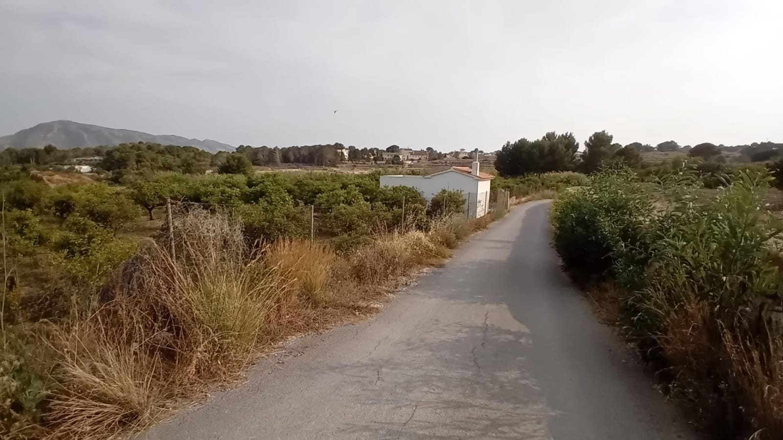 Teren niezagospodarowany na sprzedaż w Altea - 194 000 € (Ref: 9036618)