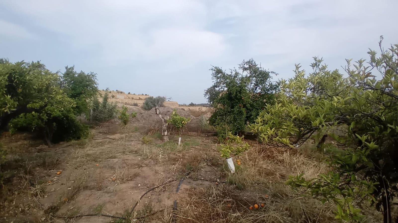 Teren niezagospodarowany na sprzedaż w Altea - 194 000 € (Ref: 9036618)