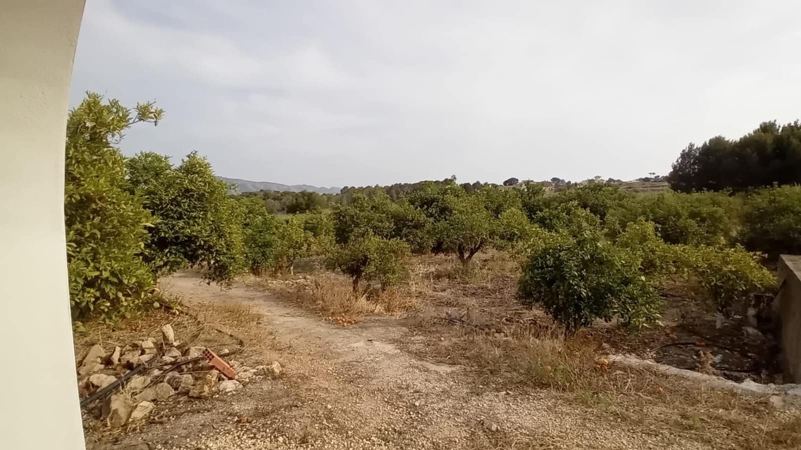 Teren niezagospodarowany na sprzedaż w Altea - 194 000 € (Ref: 9036618)