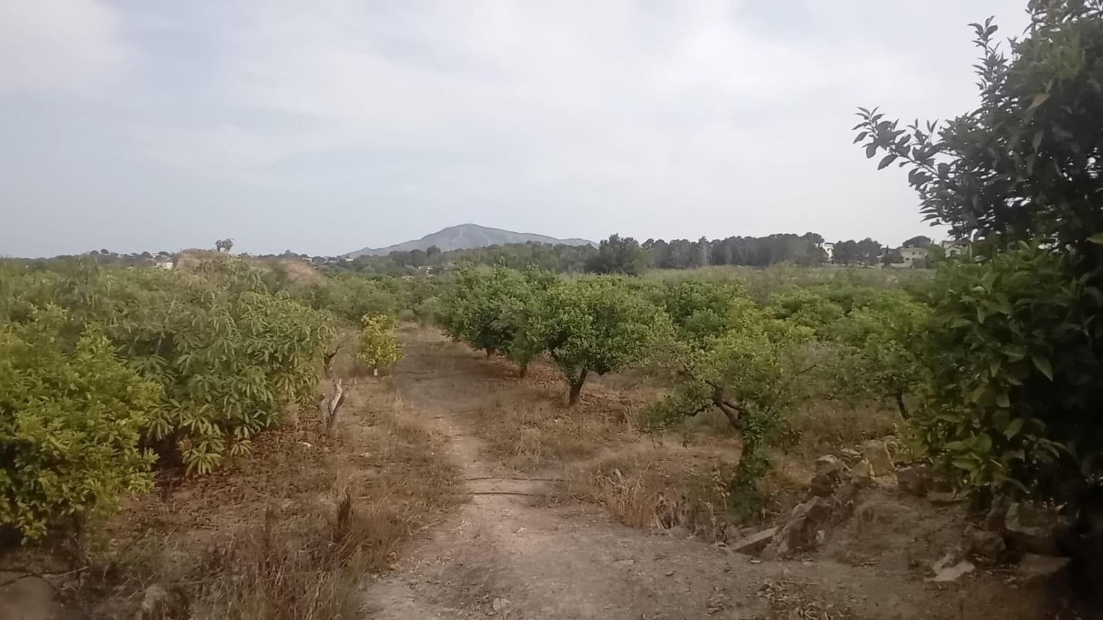 Teren niezagospodarowany na sprzedaż w Altea - 194 000 € (Ref: 9036618)