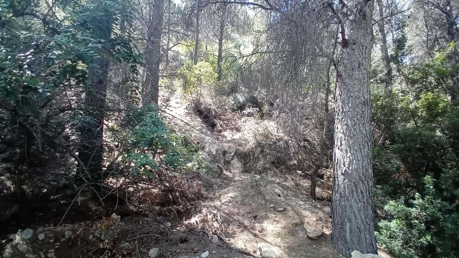 Byggetomt til salgs i Altea - € 145 000 (Ref: 9128262)