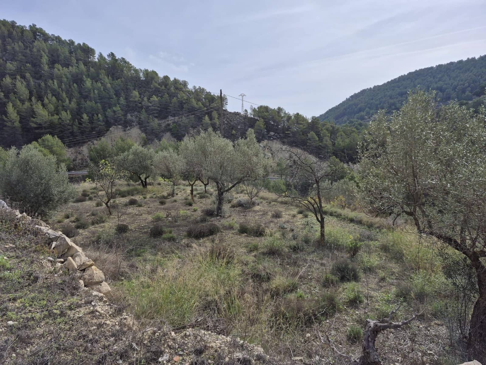 4 bedroom Finca/Country House for sale in Relleu - € 265,000 (Ref: 9338059)