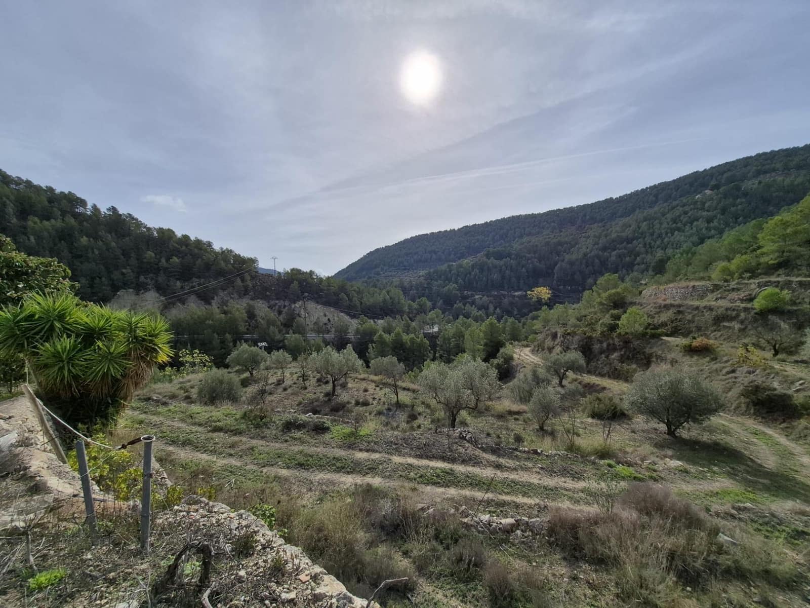 4 bedroom Finca/Country House for sale in Relleu - € 265,000 (Ref: 9338059)